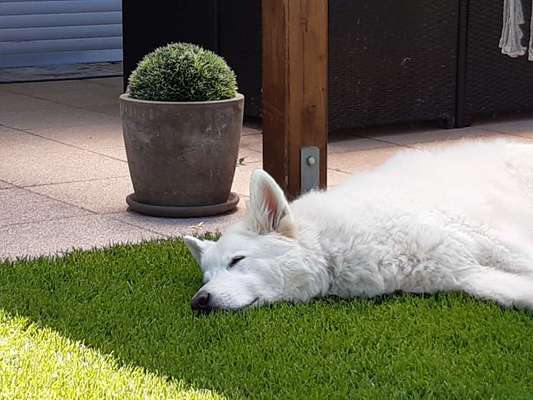 FOTO-Challenge  NR. 91: Die pure Entspannung-Beitrag-Bild