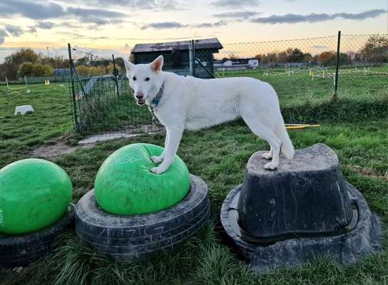 138. Fotochallenge 

(M)Ein Ball und ich-Beitrag-Bild