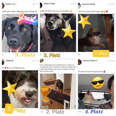 Handy Video Challenge Nr. 39- Bellen u.s.w.-Beitrag-Bild