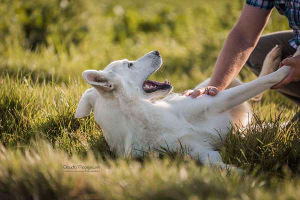 FOTOCHALLENGE 68: Dein Hund und sein bester Freund-Beitrag-Bild