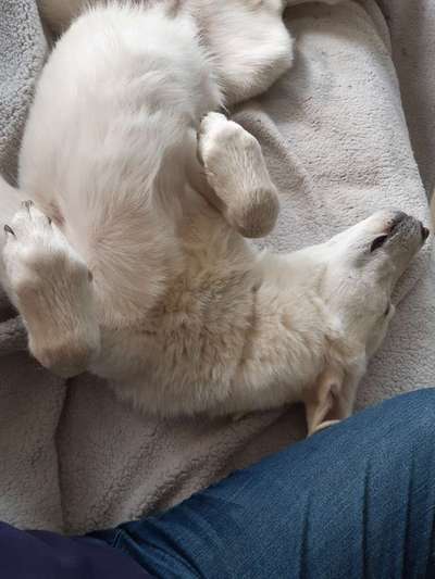 FOTO-Challenge  NR. 91: Die pure Entspannung-Beitrag-Bild