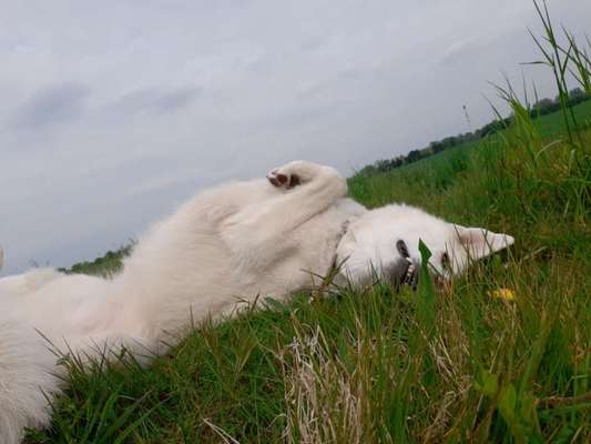 Foto Challange Nr.80-Beitrag-Bild