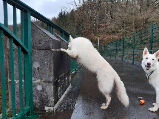 Fotochallenge Nr.65-Beitrag-Bild