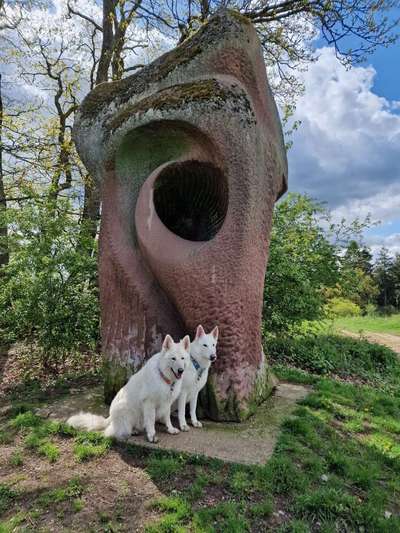 Dogorama Photo Challenge - Urlaubsziele-Beitrag-Bild