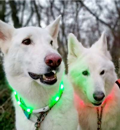 21. Farben / Foto Challenge - Neon / Leuchtfarben-Beitrag-Bild