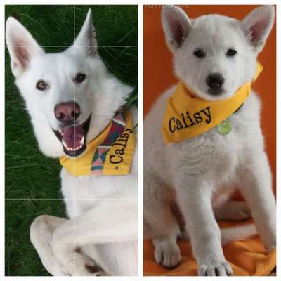 28. Handy-Fotochallenge - Damals und heute-Beitrag-Bild