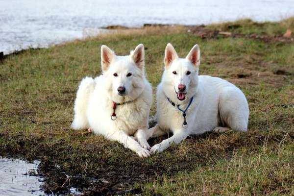 Foto Challenge Nr.: 115-Beitrag-Bild