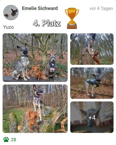 31. Collagen Challenge - Bänke/ Steine /Baumstümpfe-Beitrag-Bild