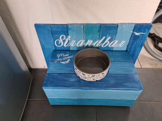 DIY für den Hund-Beitrag-Bild