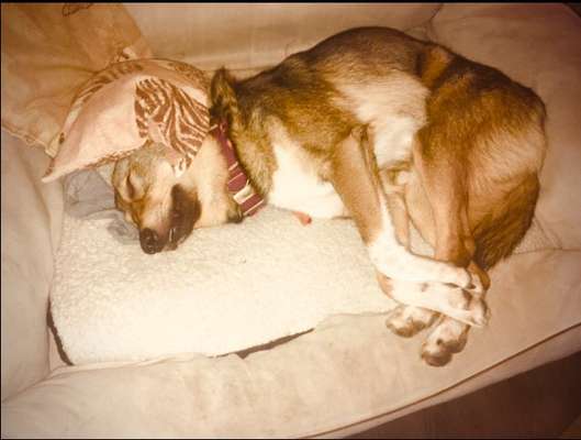 Die unbequemsten und lustigsten Schlafpositionen-Beitrag-Bild