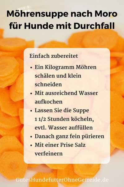 Welpen-Kot-Beitrag-Bild