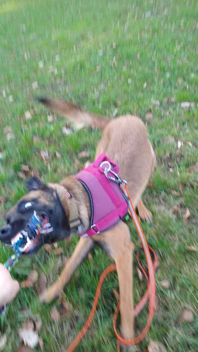 LUSTIGE FOTOS! WER KANN MITHALTEN?-Beitrag-Bild