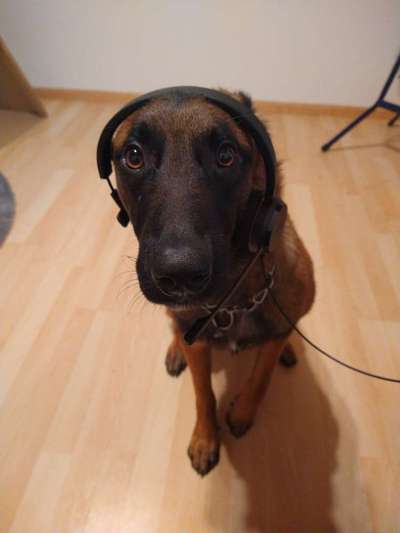 Zeigt her...-Beitrag-Bild