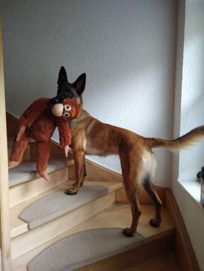 Doppelgänger gesucht !-Beitrag-Bild