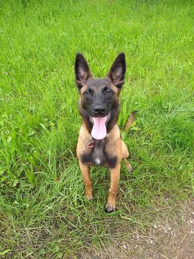 Doppelgänger gesucht !-Beitrag-Bild