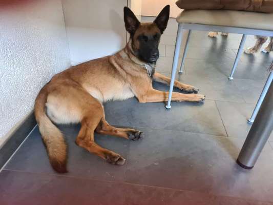 Doppelgänger gesucht !-Beitrag-Bild