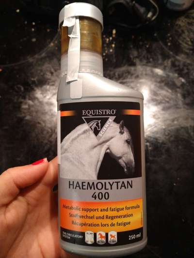 Alles rund um den Schäferhund, diskutieren erwünscht.-Beitrag-Bild