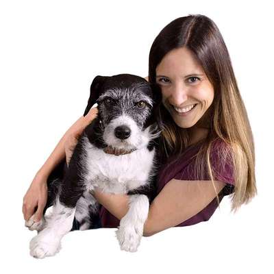 Medizinische Dienstleistungen-Hundephysiotherapie Baier-Bild