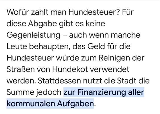 American Bully – Neue Einstufung als gefährlicher Hund in Braunschweig-Beitrag-Bild