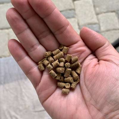 Trockenfutter mit winzigen Kroketten gesucht-Beitrag-Bild
