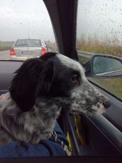 CHALLENGE NR. 18 - ON TOUR-Beitrag-Bild