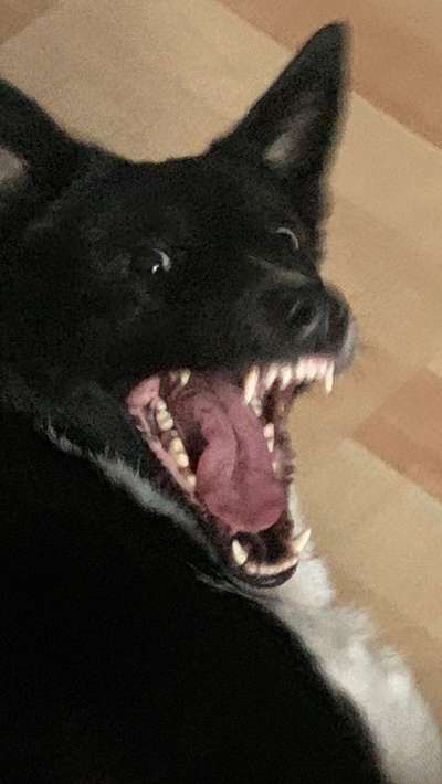 Her mit dem Grimassen-Beitrag-Bild