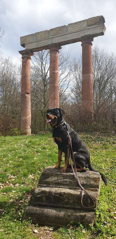 Chemotherapie-Beitrag-Bild