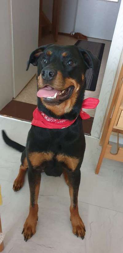 Chemotherapie-Beitrag-Bild