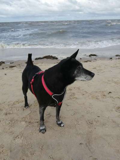 Fotochallenge Nr. 56 - geliebte Senioren-Beitrag-Bild