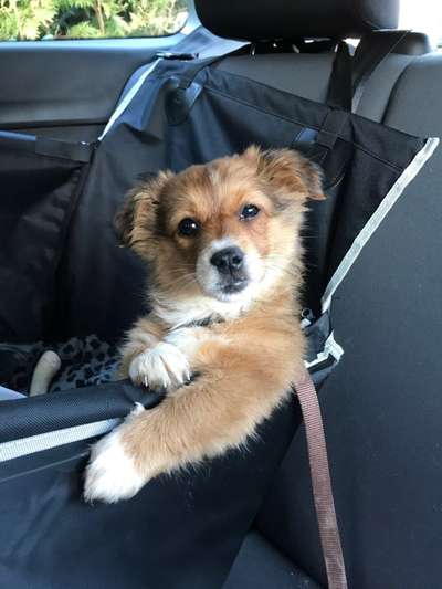 CHALLENGE NR. 18 - ON TOUR-Beitrag-Bild