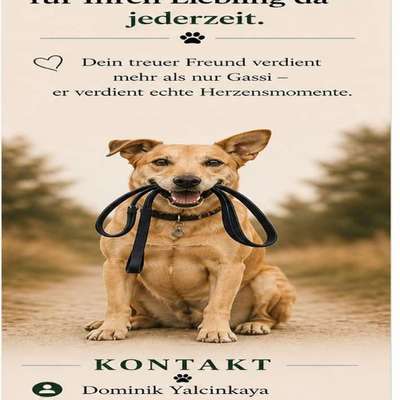 %{de_profession_title}-Gassi-Service-Bild