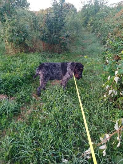 Tipps zur Gewichtsabnahme?-Beitrag-Bild