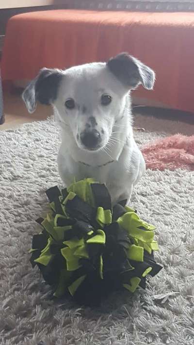 Fotochallange Nr. 57     PORTRÄT.   Beendet!!!!!!!!-Beitrag-Bild