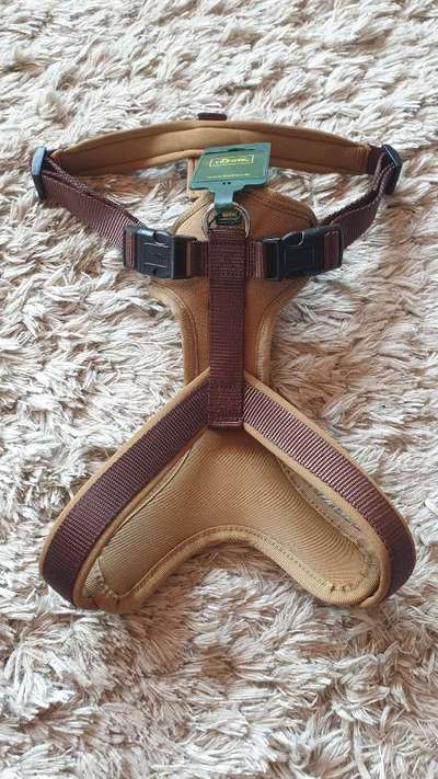 Hunter Hundgeschirr-Beitrag-Bild