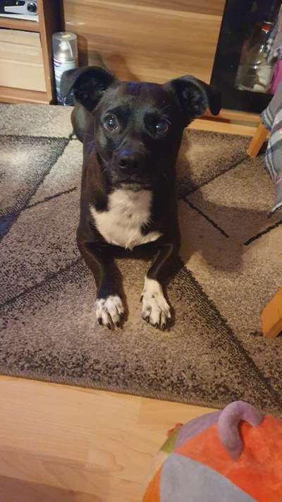 Fotochallange Nr. 57     PORTRÄT.   Beendet!!!!!!!!-Beitrag-Bild