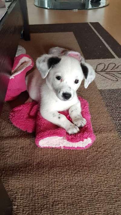 Sie werden so schnell erwachsen ...-Beitrag-Bild