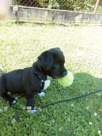 Sie werden so schnell erwachsen ...-Beitrag-Bild