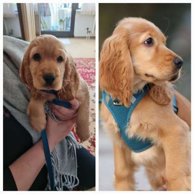 28. Handy-Fotochallenge - Damals und heute-Beitrag-Bild