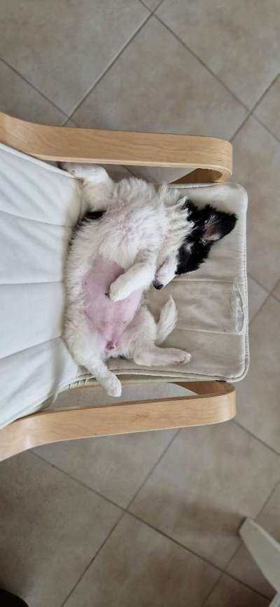 Foto Challenge - Zeigt her eure Bäuche-Beitrag-Bild