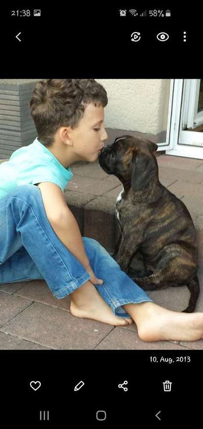 Dein Hund im Dogorama-Kalender 2021-Beitrag-Bild