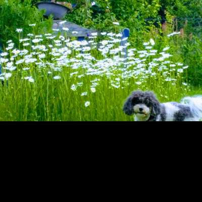 Doppelgänger gesucht !-Beitrag-Bild