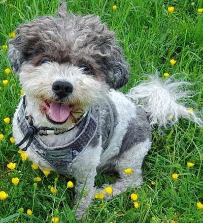 Doppelgänger gesucht !-Beitrag-Bild