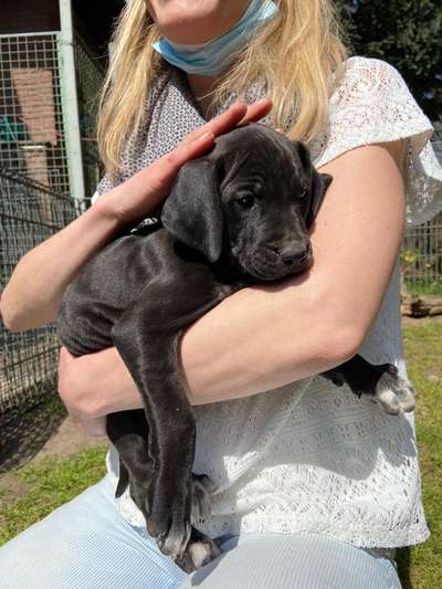 Erstes Bild-Beitrag-Bild