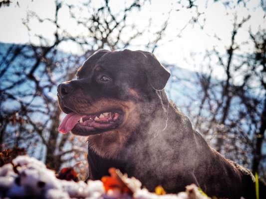 Eure schönsen-Beitrag-Bild