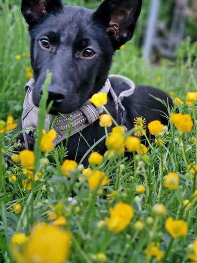Fotowettbewerb Natur-Beitrag-Bild