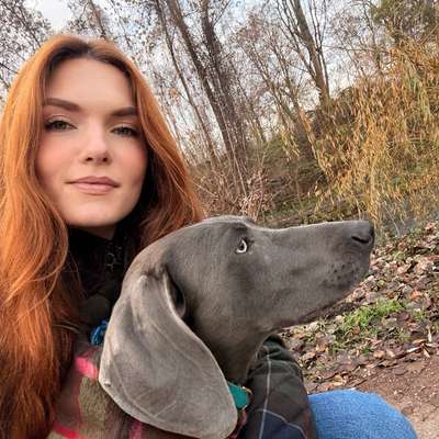 Hundetreffen-Social Walk Gruppe