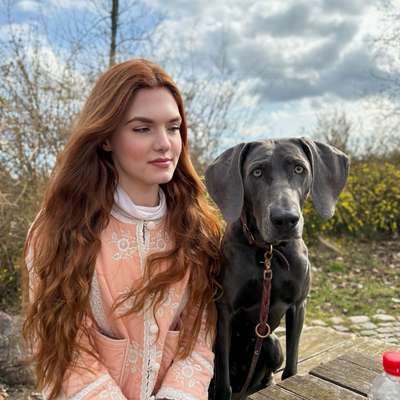 Hundetreffen-Social Walk Gruppe