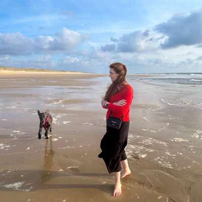 Hundetreffen-Social Walk Gruppe