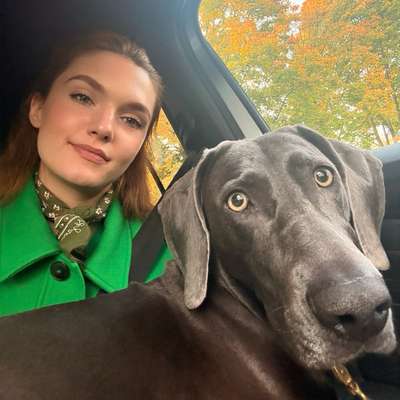 Hundetreffen-Social Walk Gruppe