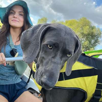 Hundetreffen-Social Walk Gruppe